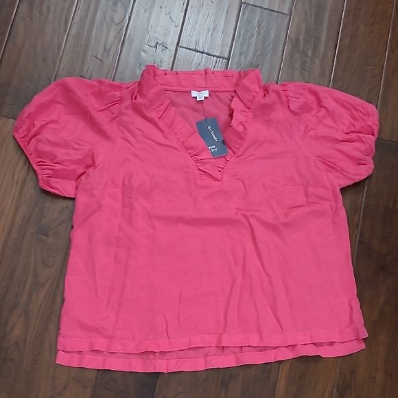 NWT Crown & Ivy Pink V-neck with Ruffled Collar & Puff Sleeves size 2X - Picture 1 of 8